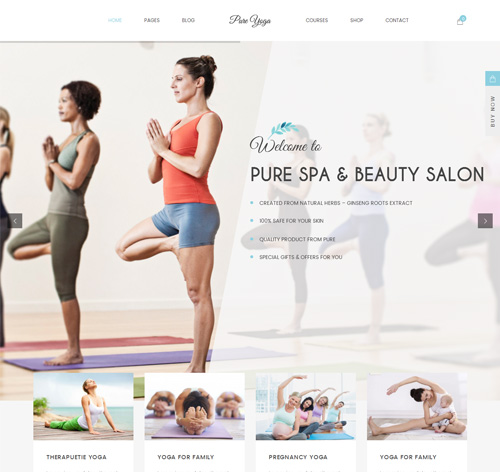 Pure - Spa & Beauty Responsive WordPress Theme
