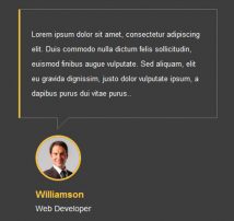 Testimonial Showcase 28