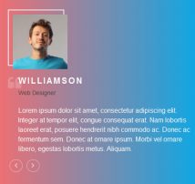 Testimonial Showcase 29