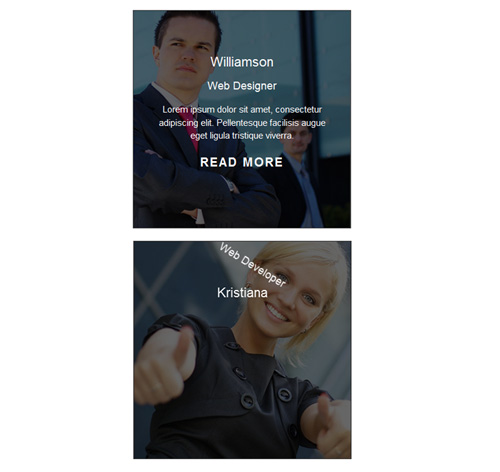 Hover Effect Style 57