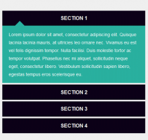 Bootstrap CSS Accordion 36