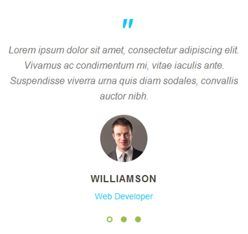 Testimonial Showcase 34