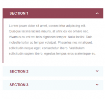 Bootstrap CSS Accordion 38