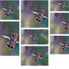 Masonry Hybrid : jQuery Multiple Columns & Resize Item