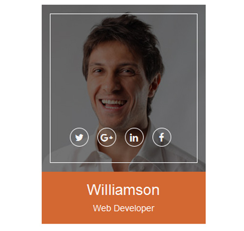 70+ Team Showcase Style in CSS with Demo