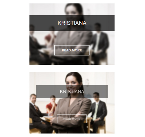 Hover Effect Style 80