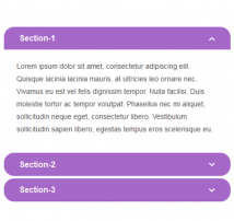 Bootstrap CSS Accordion 40