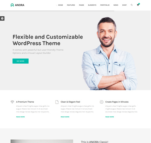 Anora - Business & Corporate WordPress Theme