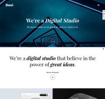 Dani - A Storming Portfolio & Shop WordPress Theme