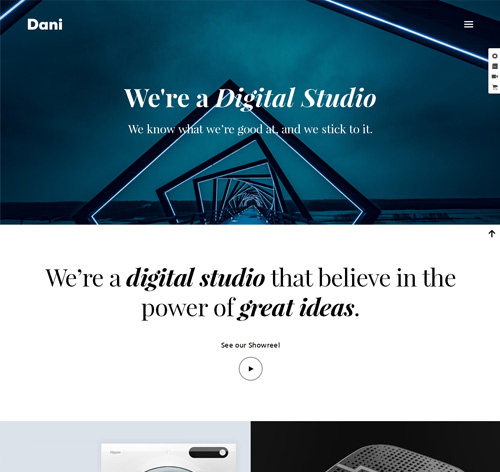 Dani - A Storming Portfolio & Shop WordPress Theme