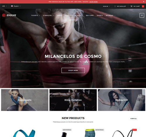 FORTE - Responsive Shopify Template