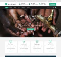 Ri Charity - NGO Fund Raising WordPress Theme