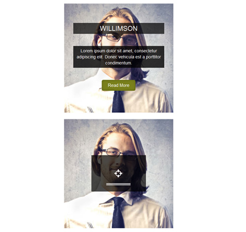 Hover Effect Style 91