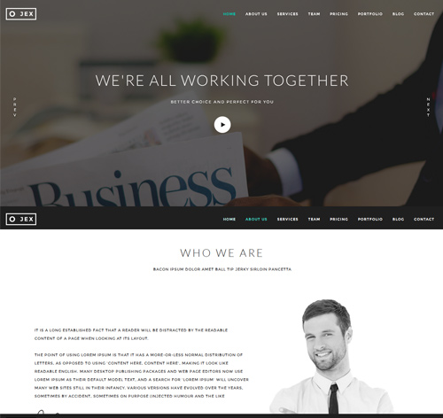OJex - Onepage Responsive HTML Template