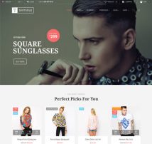 Terminus - Responsive Multi-Purpose WordPress Theme