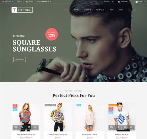 Terminus - Responsive Multi-Purpose WordPress Theme