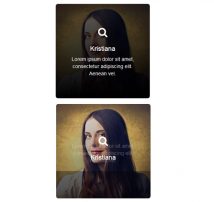 Hover Effect Style 121