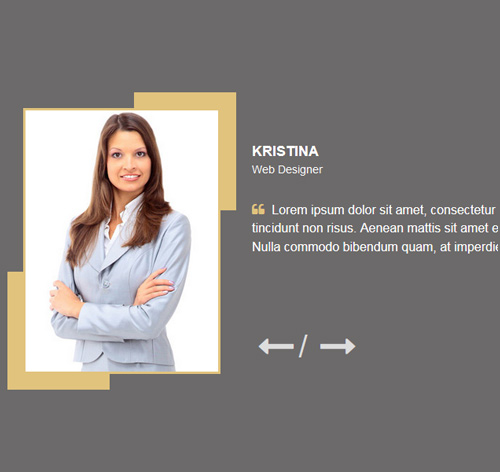 Testimonial Showcase 53