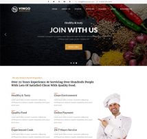Vingo-Multipurpose Business Template