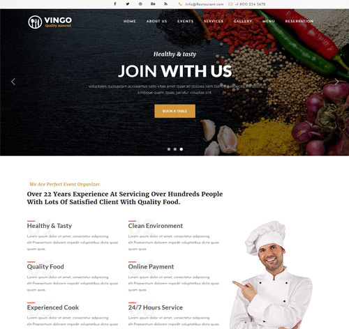 Vingo-Multipurpose Business Template