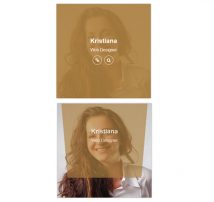 Hover Effect Style 127