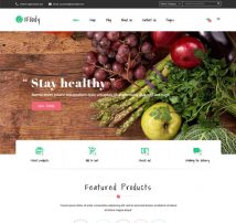 VG iFoody - Responsive WooCommerce WordPress Theme