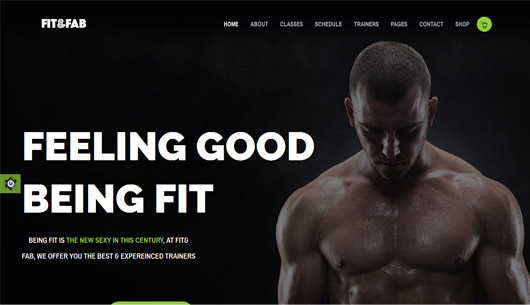  Fit & Fab | Aerobic, Gym and Fitness Bootstrap HTML5 Template