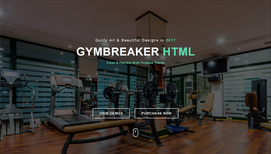 Gym Breaker | Gym Boxing - fitness html template