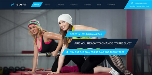 Fitness Gym Website Templates & Themes