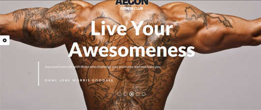  Aegon - Responsive Gym/Fitness Club Template