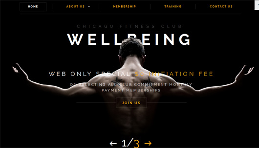 Wellbeing | Website Template