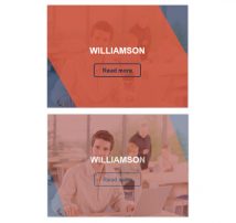 Hover Effect Style 131