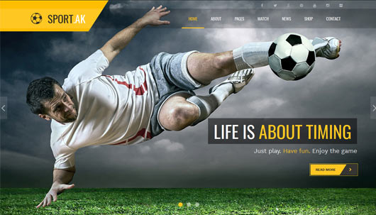 50+ Sports Templates and Themes in HTML