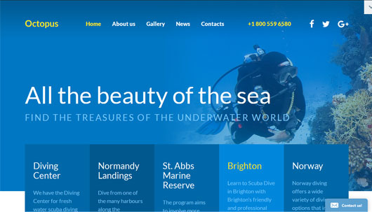Diving - Responsive Website Template