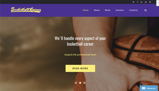 Basketball - Website Template