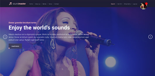 SOUNDMASTER - Music Template (Sites, Bands, DJ's)