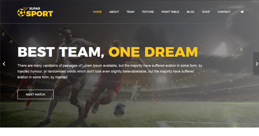 SuparSport - Soccer and Football Club HTML Template