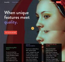 Smoothly - Portfolio WordPress Theme for Creative Professionals