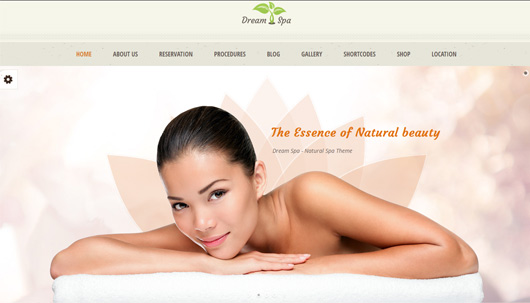 Dream Spa - Salon, Spa WordPress Theme