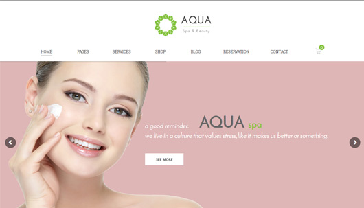 Aqua - Spa and Beauty WordPress Theme