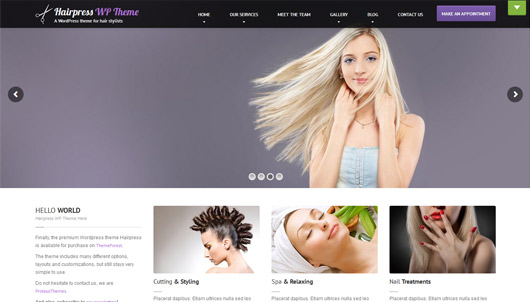 HairPress - WordPress Theme for Hair Salons