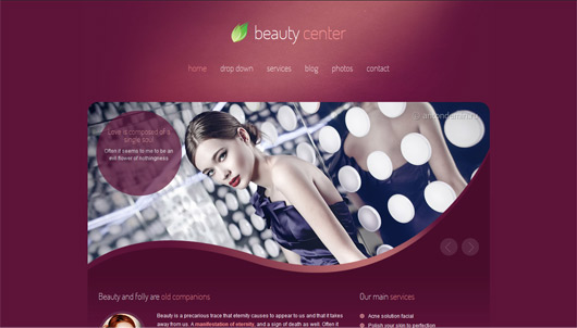 Beauty Center - Responsive WordPress Theme