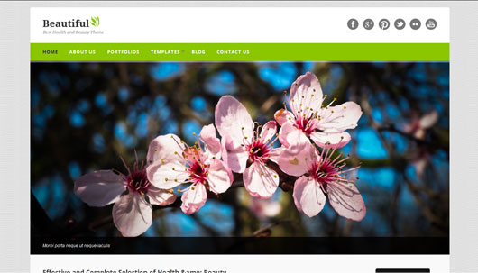 Beautiful - Spa and Beauty WordPress Theme