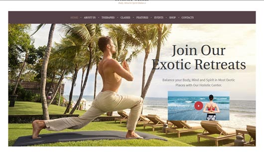 Holistic Center - Wellness and Spa Theme