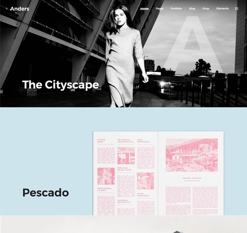 Anders - A Clean Multi-concept Portfolio Theme