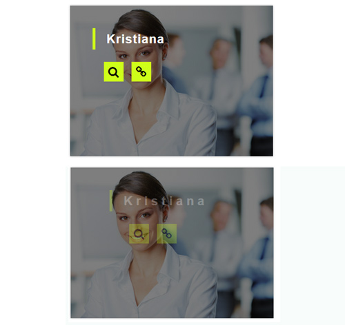 Hover Effect Style 145