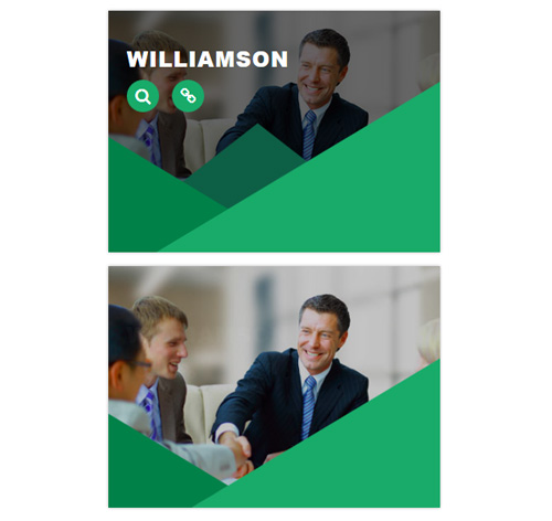 Hover Effect Style 146