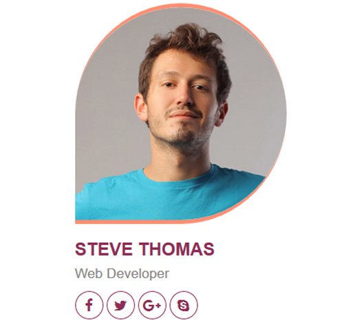 70+ Team Showcase Style in CSS with Demo