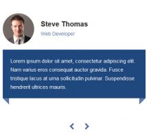 Testimonial Showcase 64