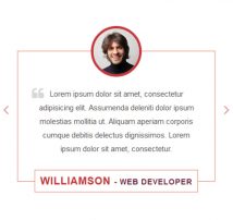 Testimonial Showcase 65